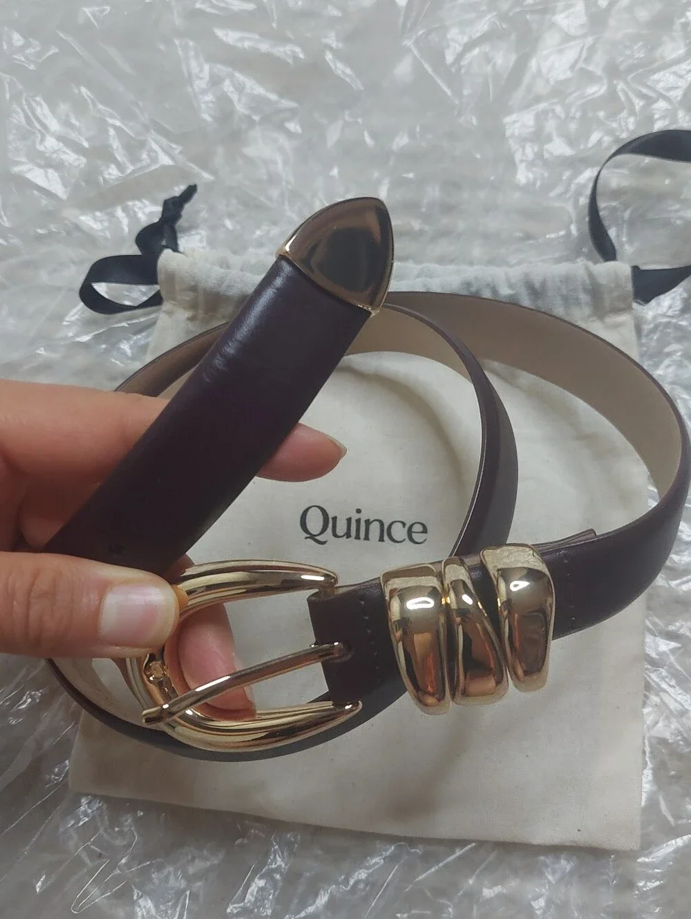 Quince stock photos